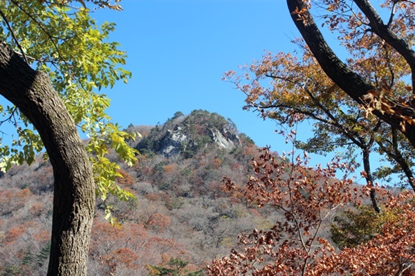 지리산이 날보고 웃고 있습니다. 고맙다며 같이 웃었지요. 삶이란...