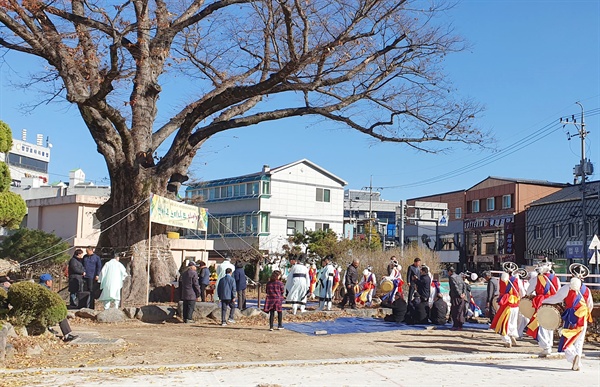 함양 학사루 느티나무 당산제”