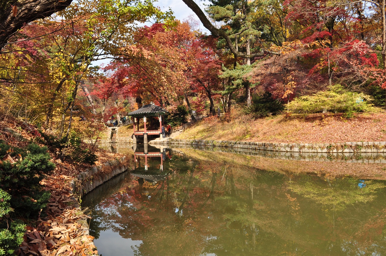  반도지 한쪽에 관람정이 서있다. 부채꼴 모양의 관람정은 창덕궁 후원에서만 볼 수 있다. 반도지 권역을 거닐며 정자와 연못, 그리고 절정에 이른 단풍의 조화로운 아름다움에 마냥 가슴이 벅차올랐다.