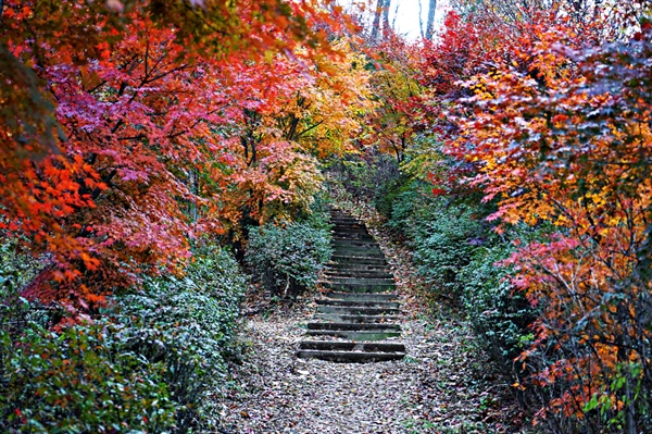 봉산 산책로의 가을 풍경