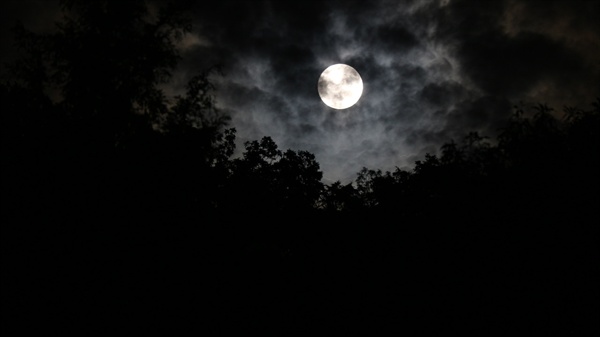  날씨가 흐려도 구름 사이로 뜨는 달을 기다렸다.