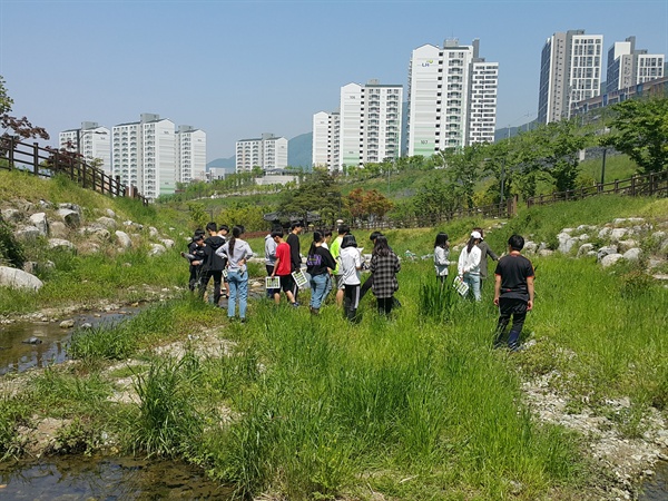  신이천 식물조사.