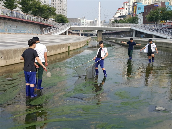  교방천 조사.