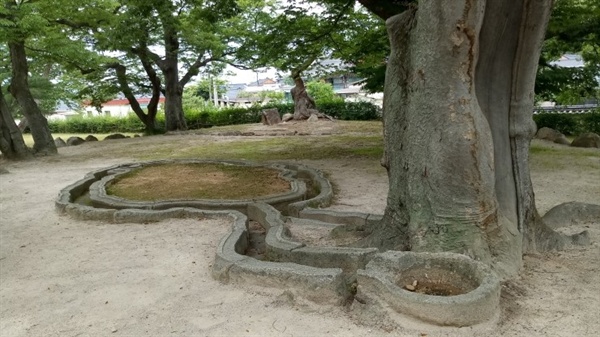 큰 나무 아래 포석정의 돌길이 둥글게 위치하고 있다.