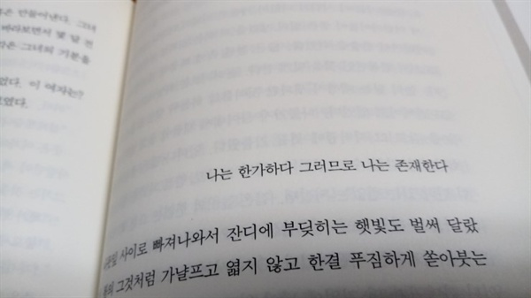 소설 회색인 중에 나는 한가하다 그러므로 존재한다는 구절이 나온다