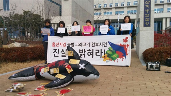 핫핑크돌핀스는 부산동물학대방지연합과 함께 2018년 1월 18일 울산지검에서 고래고기 환부사건 진상 규명 촉구 기자회견을 진행했다.