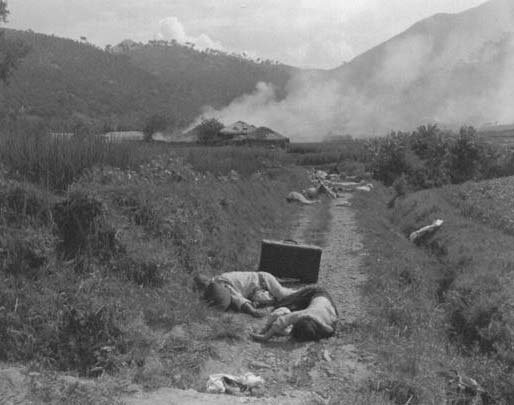  기총소사로 쓰러진 피란민 시신들(1950. 8. 25.). 