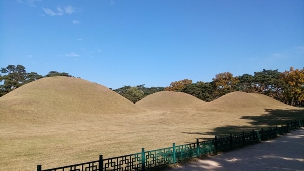 경주 오릉의 왕릉이 늘어서 있다.