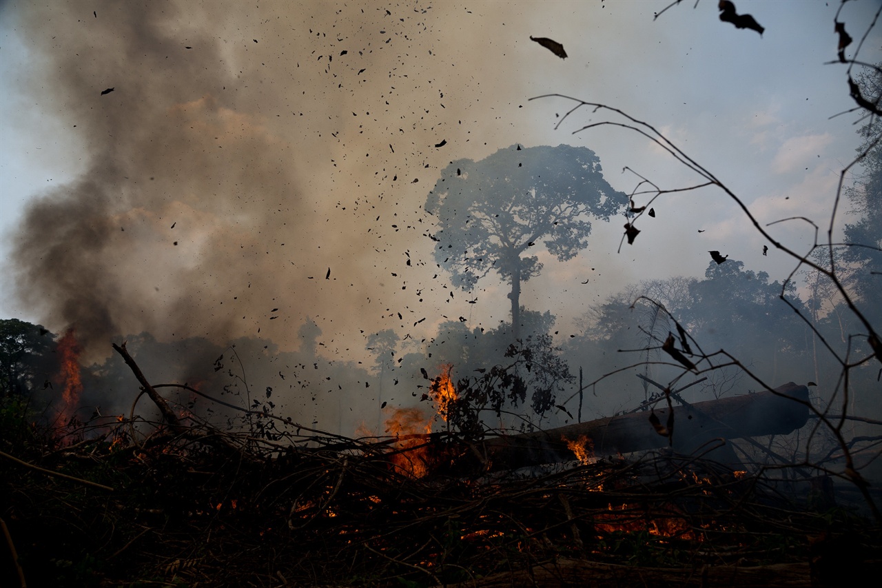 불타고 있는 아마존 밀림