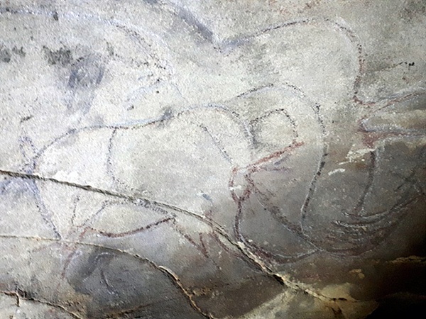 호이트 쳉헤르 동굴벽화로 몽골에 살고 있는 야생마 '타히'로 추정된다. 