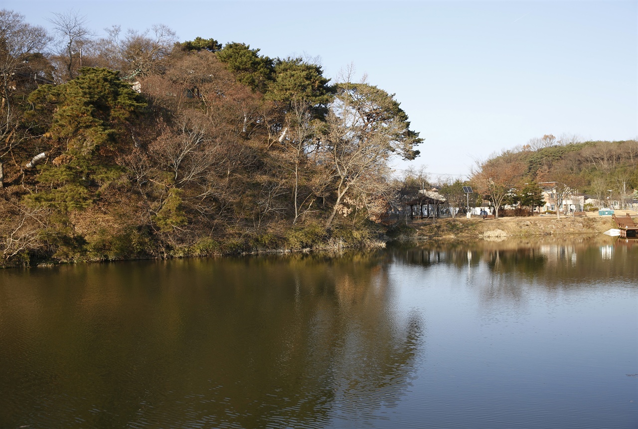  소나무 숲에 들어앉은 요월정원림과 황룡마을 풍경. 옛날에 임금도 질투했다는 이야기가 전해지고 있다.