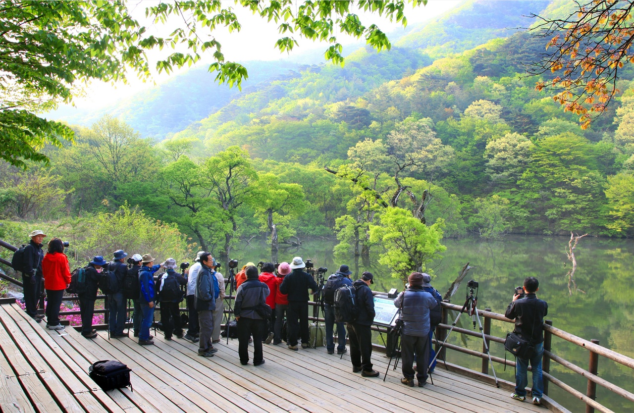 청송 주산지를 찾은 여행자들.