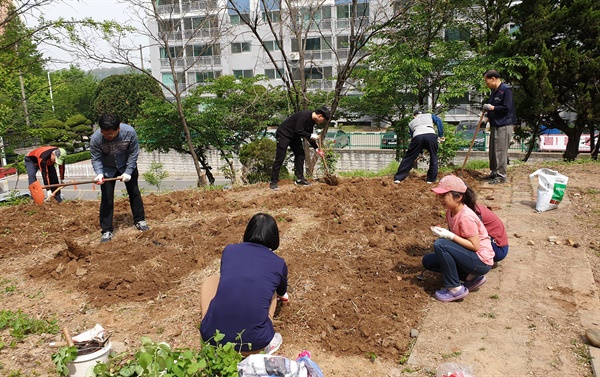  아파트 공터에 꽃을 심고 물을 주는 일을 시작했다. 