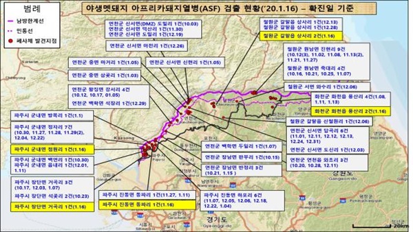  야생멧돼지 아프리카돼지열병 검출현황