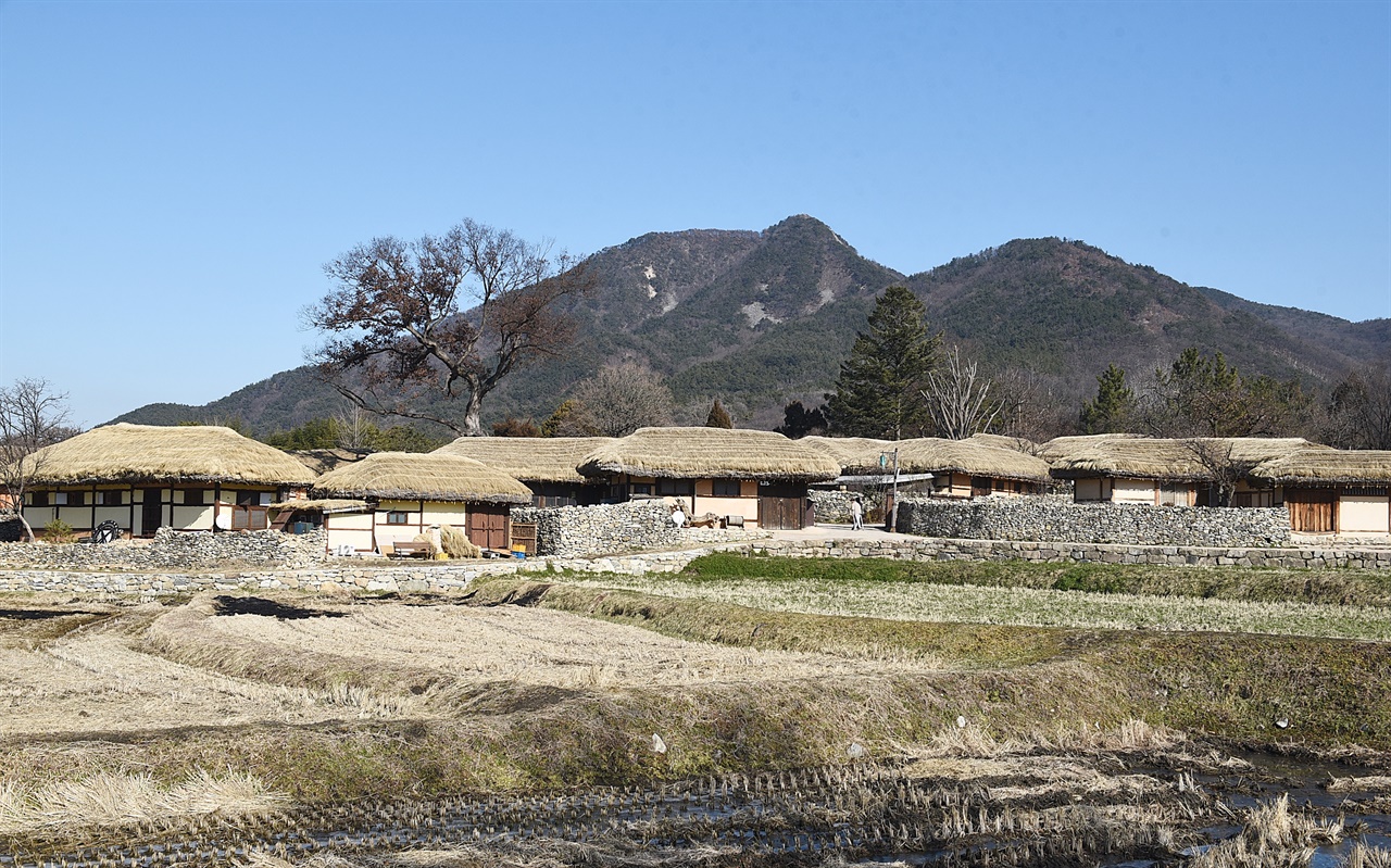 아산 외암마을  설화산 아래 남향으로 옹기종기 초가집 지붕들이 이어진 모양새가 인상적이다. 