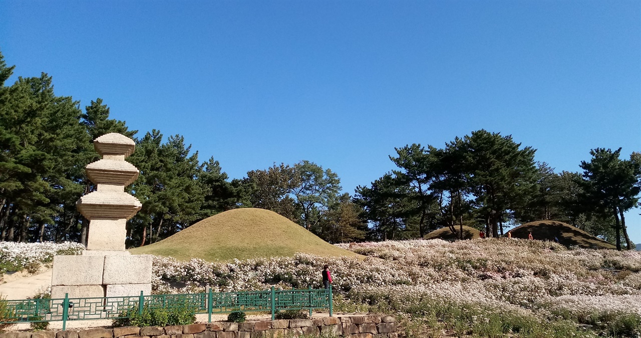 신라시대 고분이 석탑과 함께 있다.