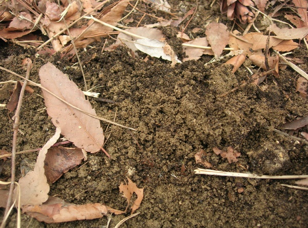 흙으로 돌려주는 유기물은 땅심을 키우는 토양유기물(부식)이 된다
