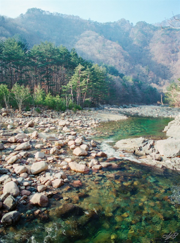 수렴동계곡(2) (645N/Portra400)