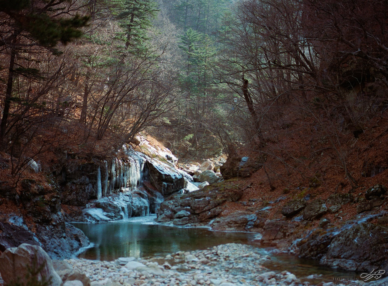 고드름이 가득한 계곡 (645N/Portra400)산행 중 처음 만난 큰 고드름