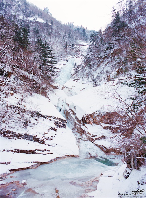 쌍용폭포 (645N/Portra400)두 개의 물줄기 중 왼쪽 물줄기가 길게 이어지는 모습. 해당 위치에서는 오른편의 물줄기가 보이지 않는다.