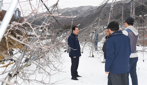 구인모 거창군수, 사과농가 피해 현장 방문.