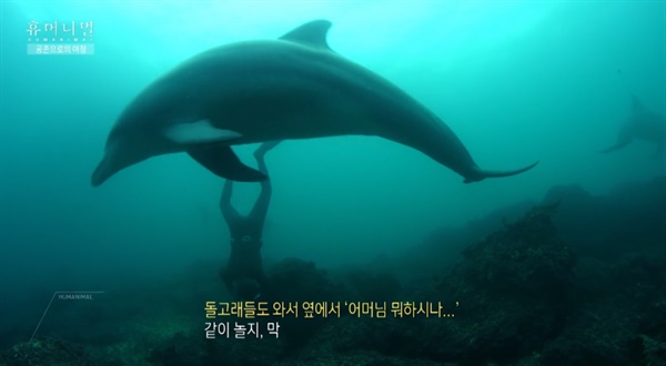  MBC 창사특집 다큐멘터리 <휴머니멀> 5회 '공존으로의 여정'의 한 장면