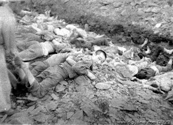 1950년 7월. 대전 골령골 민간인학살 현장 사진. 한국전쟁 당시 대전에서는 1만 여명 가까운 (대전 골령골에서 군경에 의해 7000명, 대전형무소에서 인민군에 의해 1500여명 등) 민간인이 희생됐다.