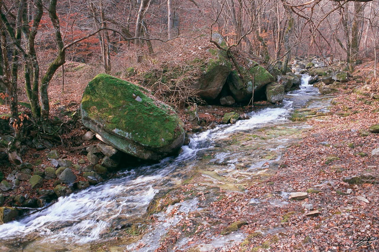 청평사 계곡 (Contax S2/RDP3)한겨울에도 싱그러운 녹색빛의 이끼가 바위 위에 부드럽게 깔려있다