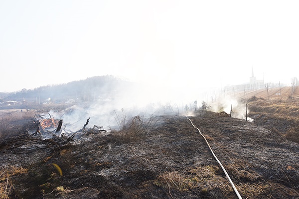 소방대원들이 밭을 태우다 번진 화재를 진화하고 있다.
