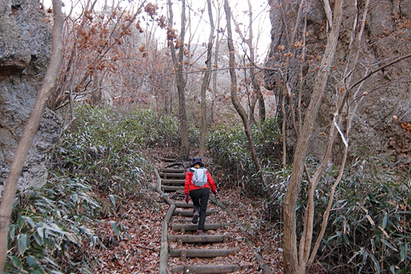 정상으로 가는 길은 좁고 가파른 길이었다. 요즈음 등산로를 손질해서 그렇지  제대로 된 길이 없던 옛적에는 천연요새였다고 한다 