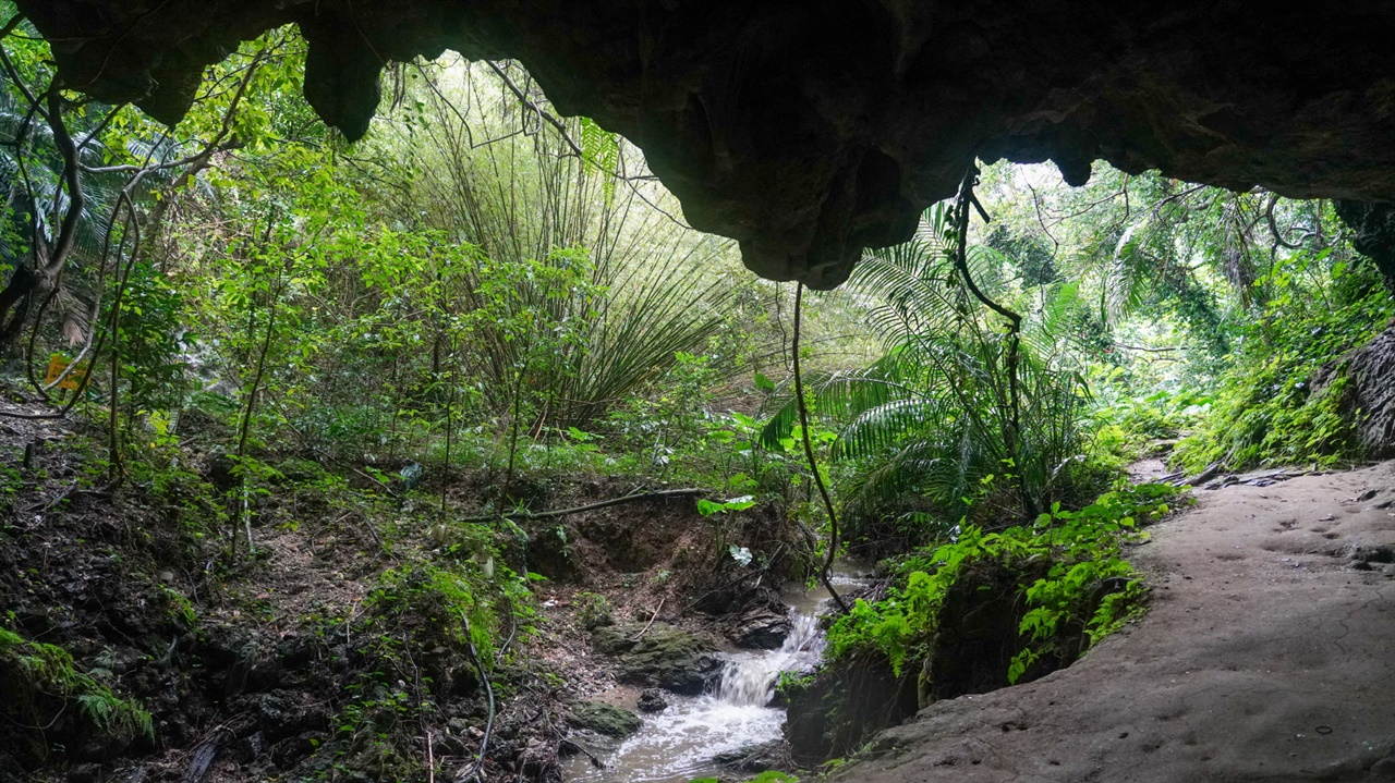 시무쿠 동굴의 모습입니다. 치비치리 동굴보다 입구가 넓었습니다