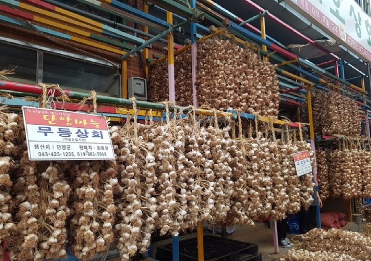 단양마늘시장 內 최대 마늘 도,소매 업체인 무등상회의 마늘이 고객을 기다리고 있다.