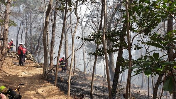 방화범이 석천사 주변 등산로에 16일부터 24일까지 총 6번의 불을 질렀다.


