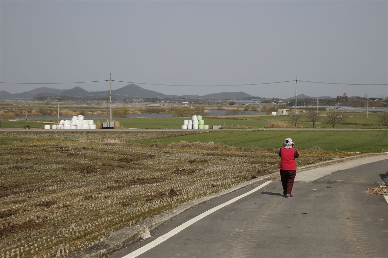 송죽마을 주민이 농로를 따라 들판 사이를 걷고 있다. 지난 3월 21일 오후다.