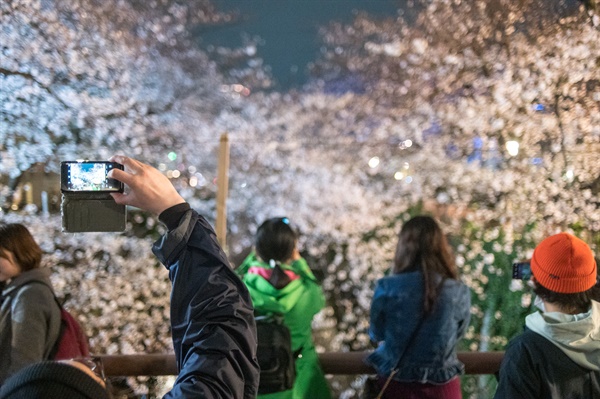 27일 밤 도쿄 나카메구로 벚꽃축제에서 꽃구경을 즐기는 사람들. 예년처럼 화려한 조명을 하지 않고 주변 포장마차 등도 거의 없을 정도로 축소된 분위기이다.
