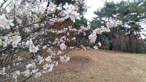 영식재 뒤편 개금산 초입에는 봄기운이 완연하다
