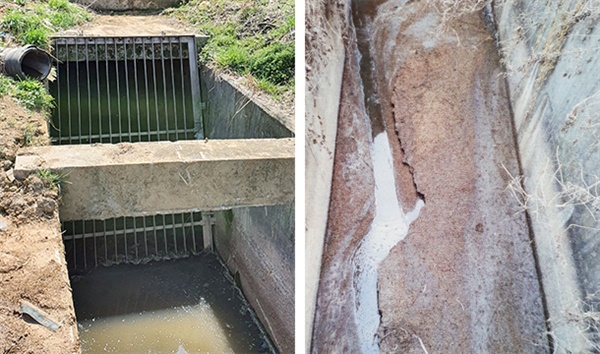 가축분뇨를 무단방류한 축사 인근 농수로의 모습(왼쪽). 흘러넘친 분뇨가 수로 바닥에 쌓여있다(오른쪽).
