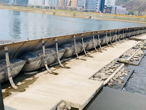 도룡가동보가 기립해서 갑천을 막아서고 있다