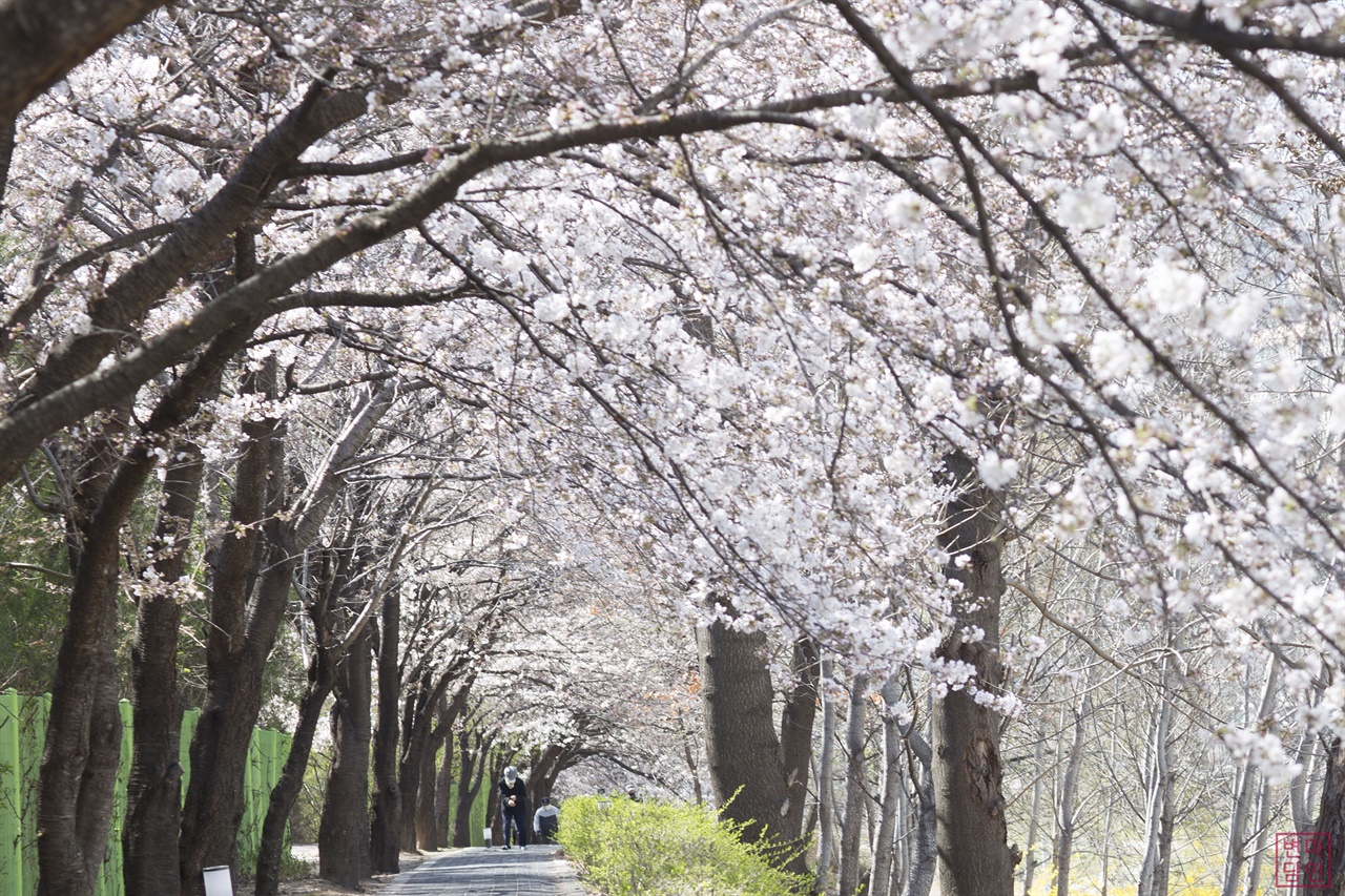  산책나온 노인들  노인분들의 얼굴에 씌어진 마스크가 유난히 서글퍼 보인다.