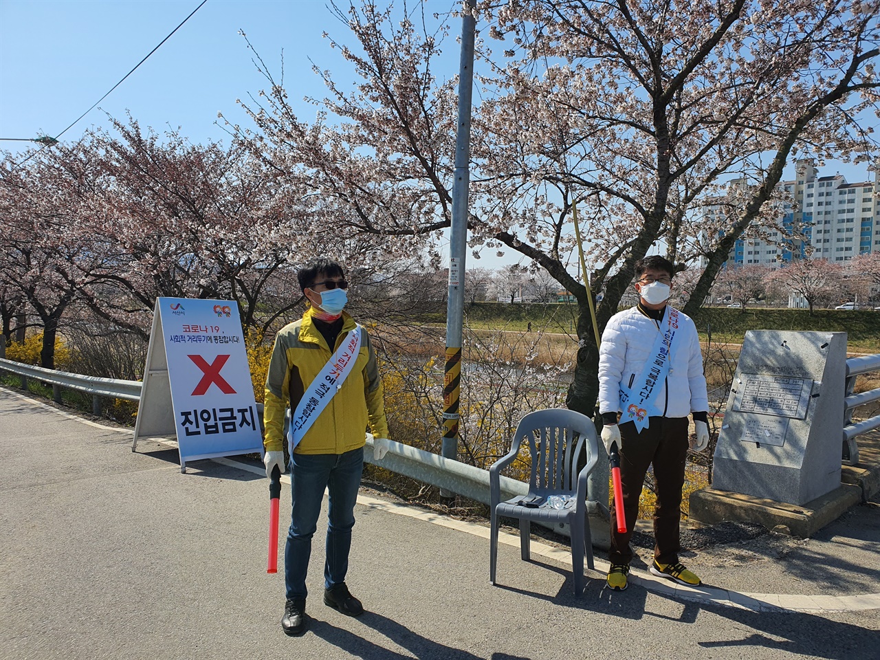  4월 첫 주말을 맞은 5일. 기자는 해미천 벚꽃길을 찾았으나 해미면 행정복지센터 직원들과 해미면 7개 기관·단체로 구성된 ‘해미천 코로나 19 감염병 방역 및 예방추진단’ 회원들이 주요 진출입로를 통제하고 있었다.