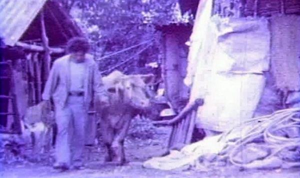  서울영상집단이 1986년에 만든 8mm 영화 <파랑새>