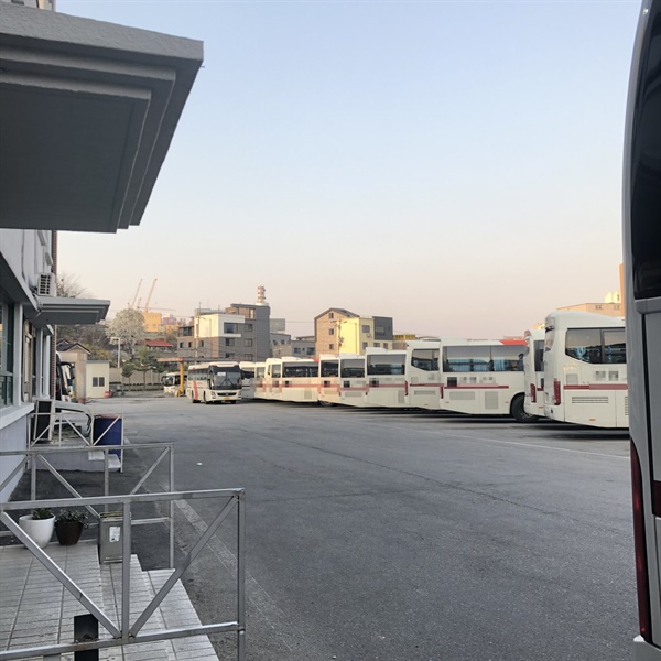 춘천시외버스터미널 주차장에 운행을 멈춘 버스들로 가득 차 있다