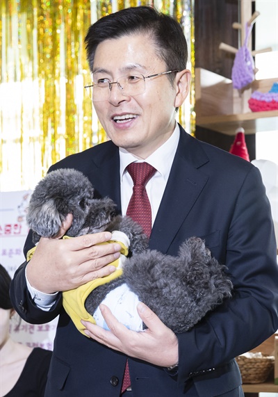 자유한국당 황교안 대표가 지난 1월 21일 오후 서울 마포구 반려견 동반카페 마포다방에서 열린 ''2020 희망공약개발단 반려동물 공약' 발표에서 강아지를 안고 있다.