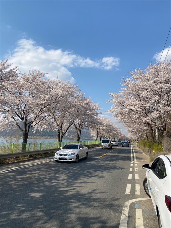 지난 9일 경기도 양평군 서종~신청평대교 구간은 벚꽃을 보러온 차량들로 가득했다