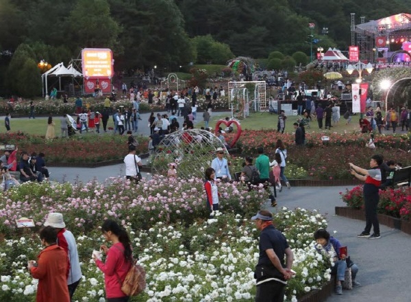 2019년 5월 울산대공원 장미원에서 개최된 장미축제. 올해는 코로나19 확산방지로 취소된다