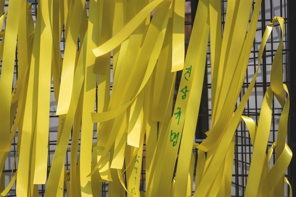 광화문 광장에 걸린 노란 리본