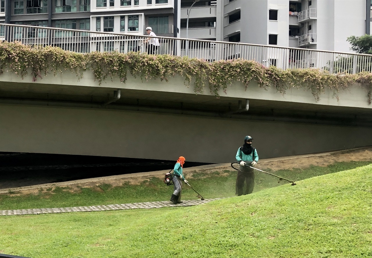 잔디를 깎고 있는 이주노동자의 모습. 이들은 주로 싱가포르인들이 꺼리는 험한 일들을 도맡아 한다.