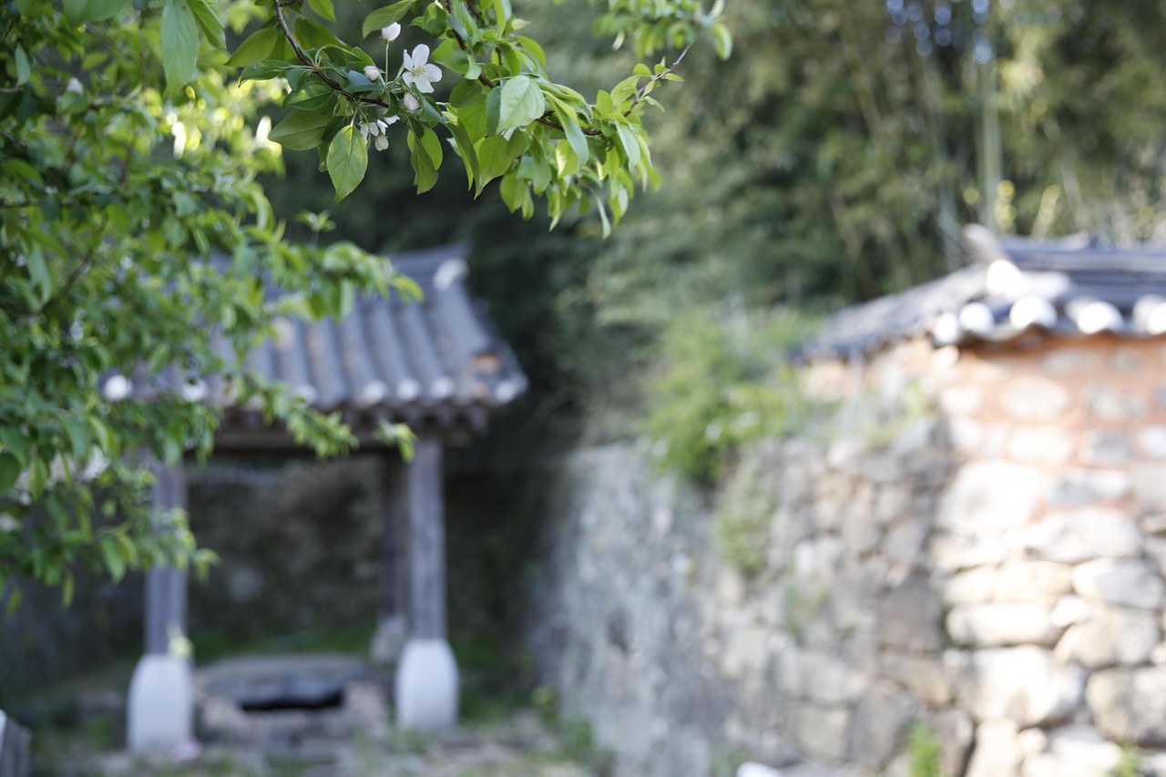 왕대로 둘러싸인 안샘. 옛 관아에서 쓰던 우물이다. 마을사람들과 희로애락을 함께 해온 주민공동체의 터전이다.