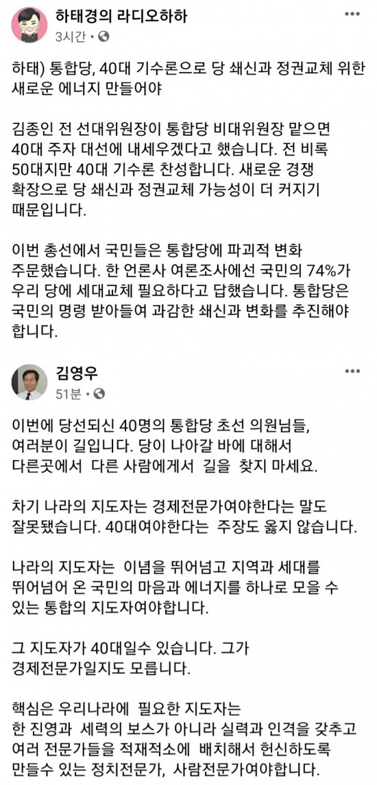 김영우 의원과 하태경 의원이 같은 날 40대 기수론에 관한 의견을 밝혔다.