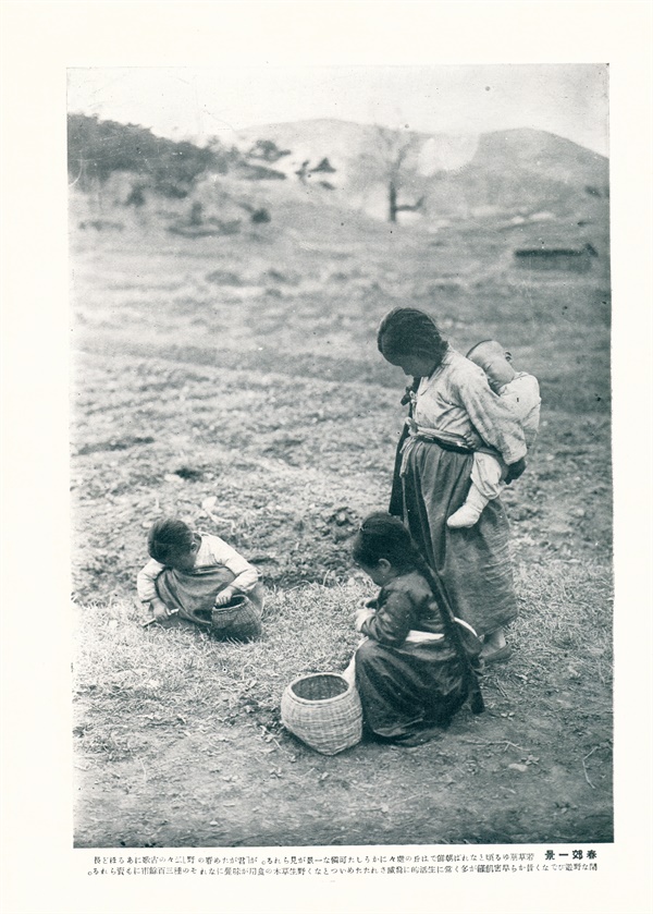 보릿고개에 나물을 캐는 아이들을 담은 1930년 사진